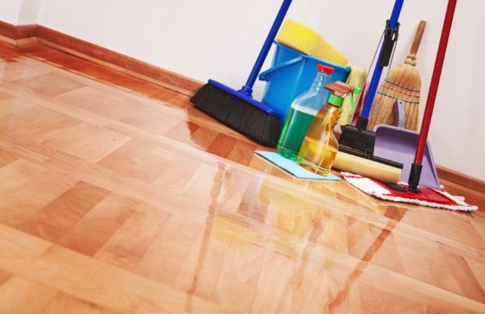 ČIŠĆENJE I ODRŽAVANJE VILA I APARTMANA