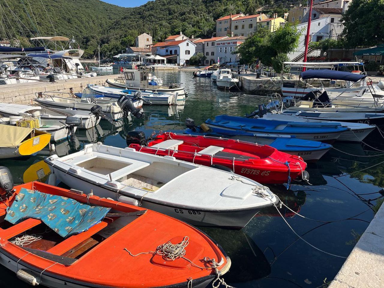 Guided boat tours from Rabac