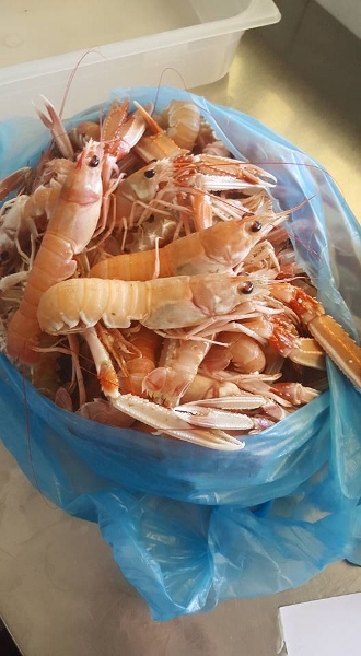 Fresh seafood Premantura