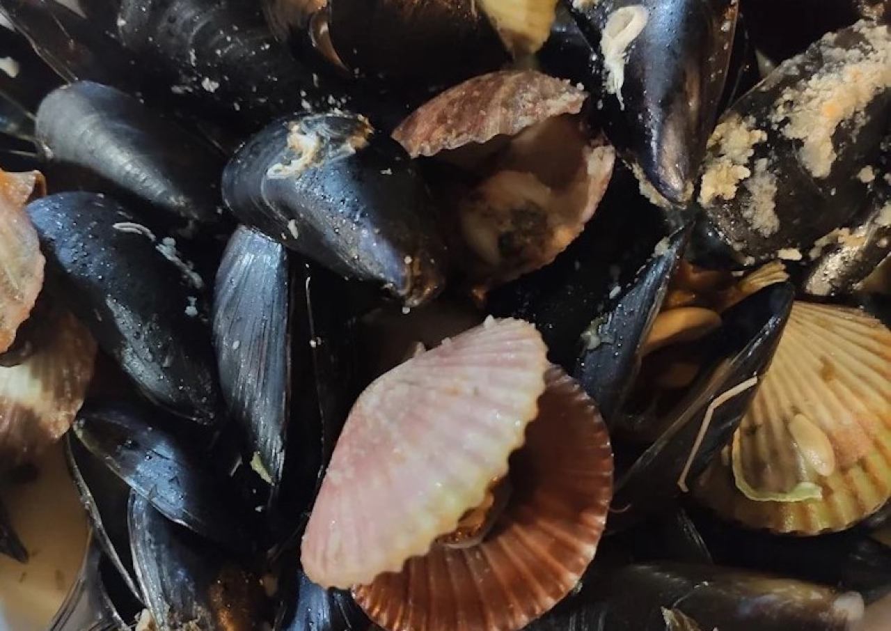 DNEVNA PONUDA SVJEŽE RIBE