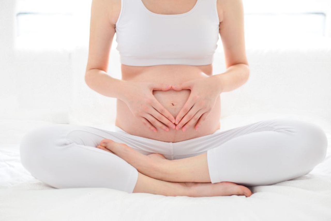 Praćenje trudnoće 