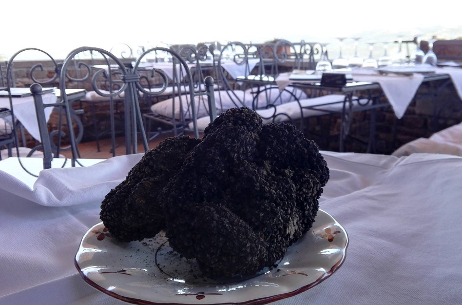 Best truffle restaurant, Istria