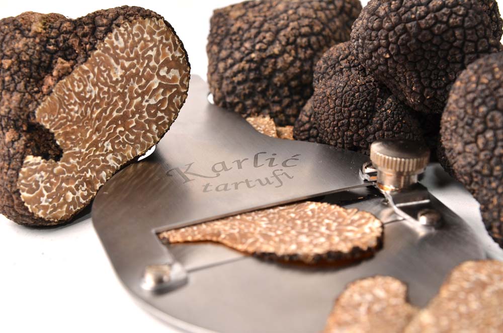 Truffles, Trüffel, hunting, shop, caccia al tartufo, Trüffelsuche, Istria KARLIĆ TARTUFI ISTRA