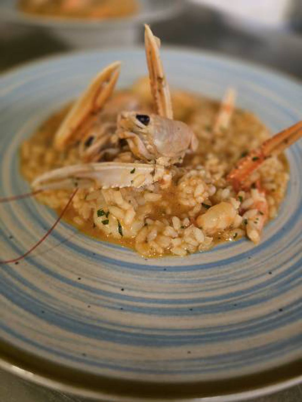 TOPLA PREDJELA / PRIMI PIATTI / WARME VORSPEISEN / HOT FIRST DISHES
