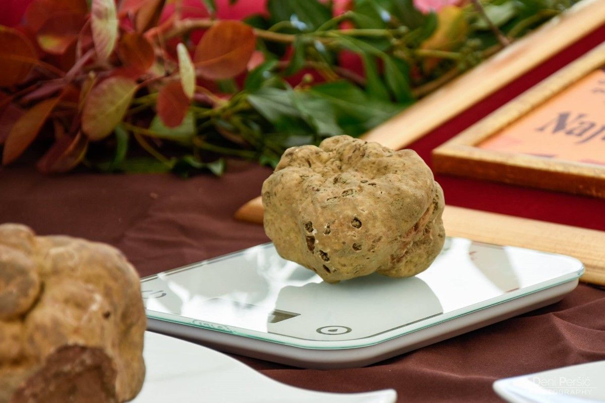 Nastup istarskih proizvođača kontroliranih autohtonih i ekoloških proizvoda