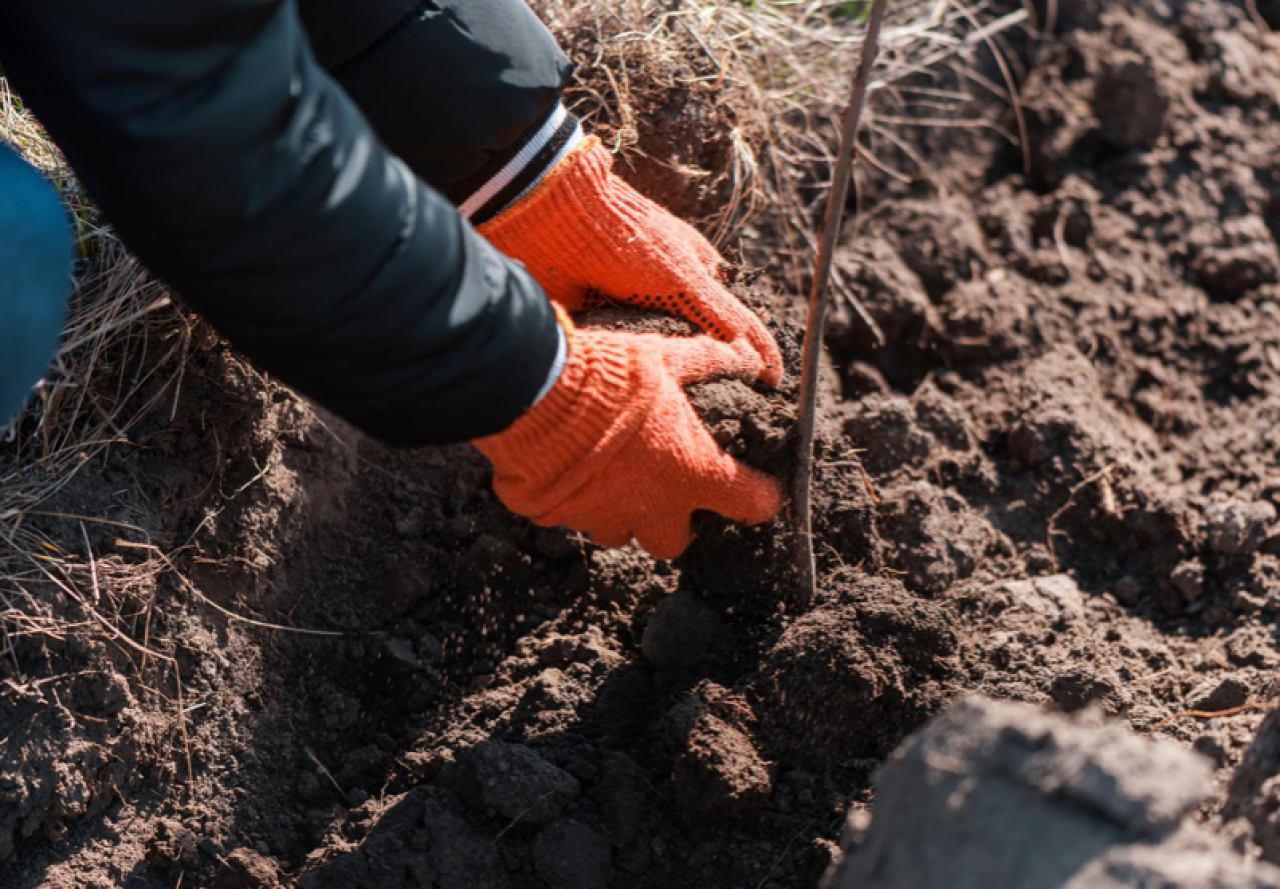 ISKOPI I ZEMLJANI RADOVI