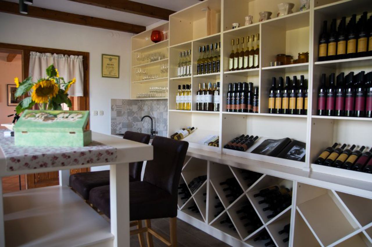 Degustacije vina u Istri