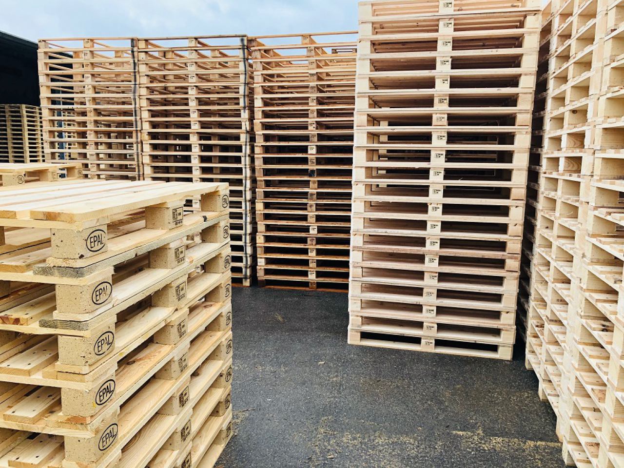 PROIZVODNJA DRVENIH PALETA U ISTRI