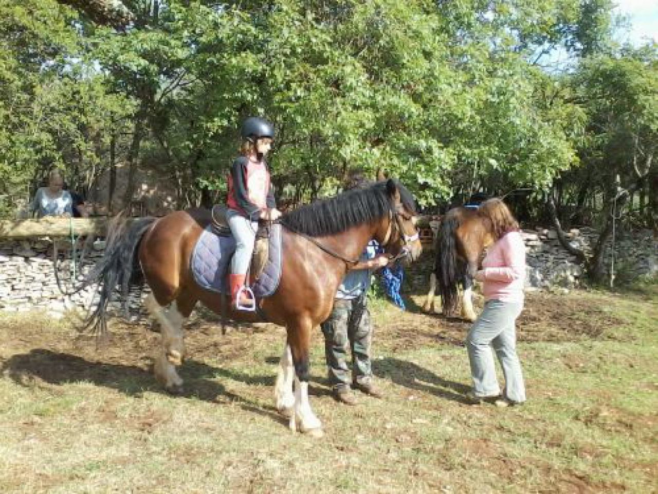 RECREATIONAL AND THERAPY HORSE RIDING NEAR PULA<br>