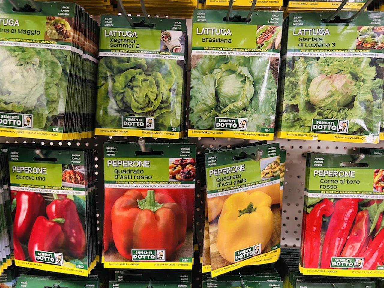 SJEME ZA POVRĆE I CVIJEĆE