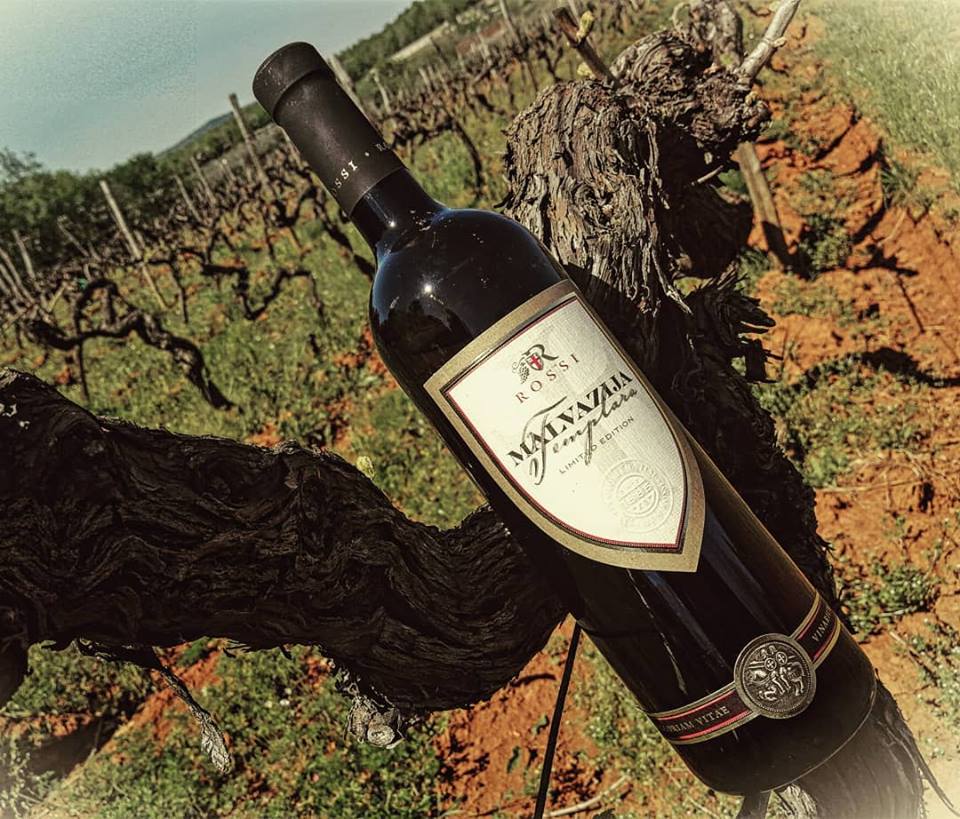 Istrian vineyards and wine tasting