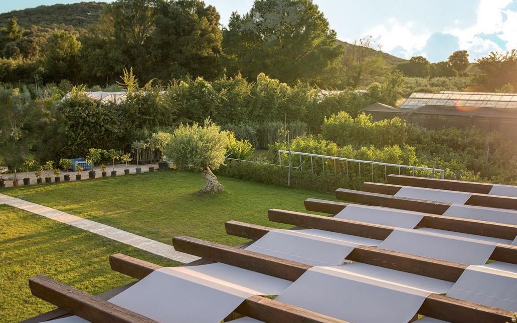 Od rasadnika do održivog poslovnog modela: kako SKINK gradi vrijednost kroz mediteranske kulture