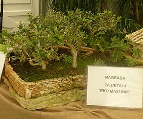 FLORAART 2014.- nagrada za najljepši detalj