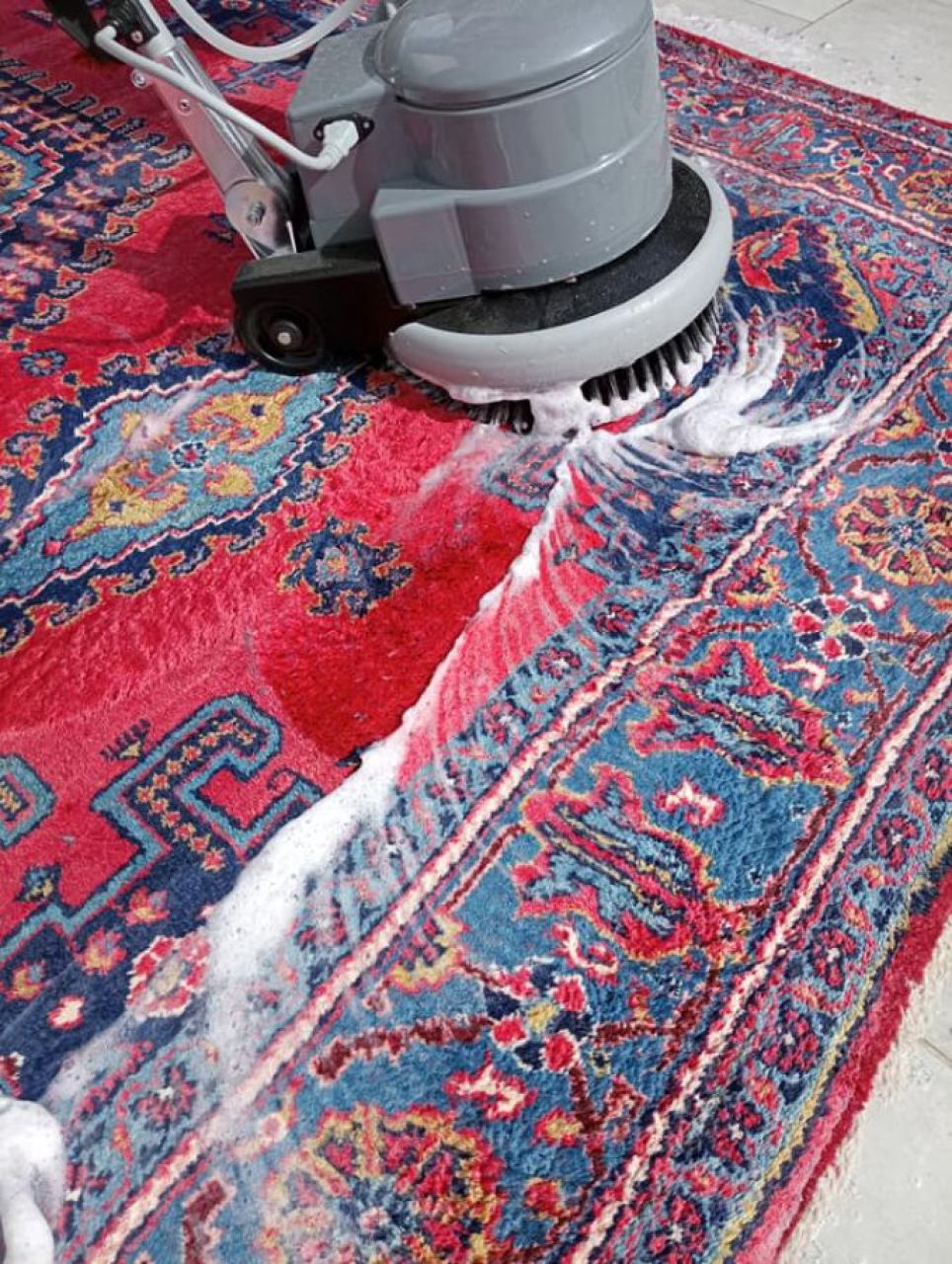 Pranje tepiha Pula