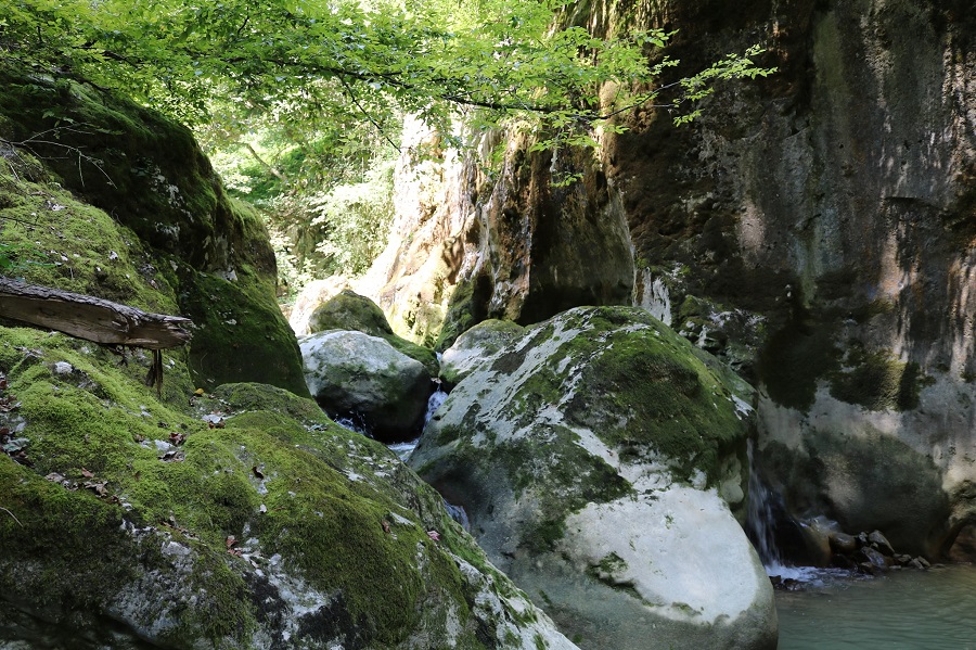 Speleoavantura Pazinska jama, aktivni odmor u Istri