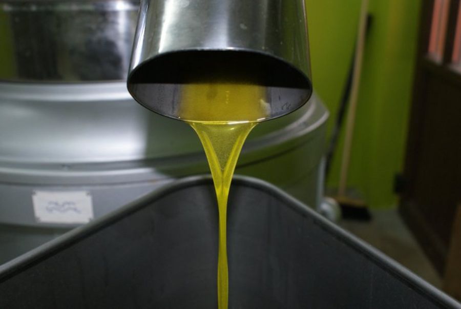 Kvalitetno maslinovo ulje