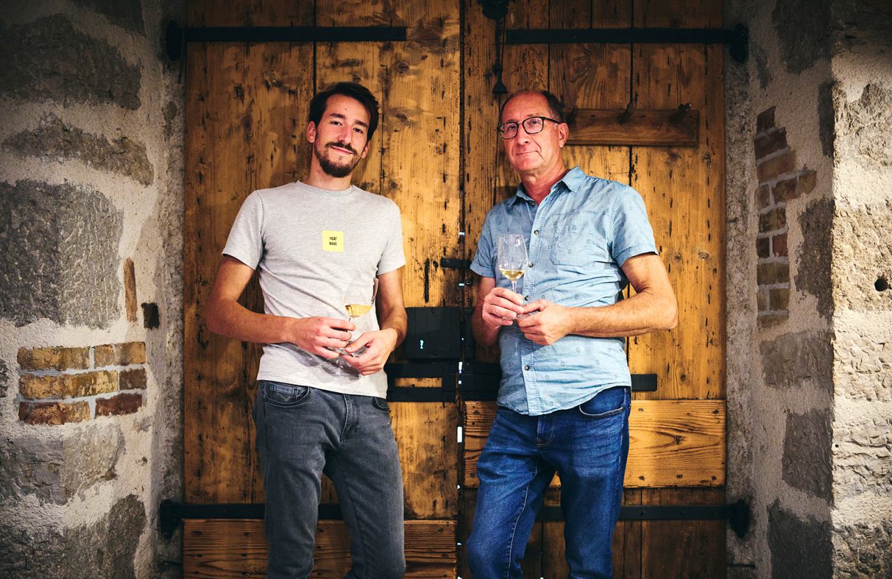 Anđelini Winery: Award-winning Istrian wines