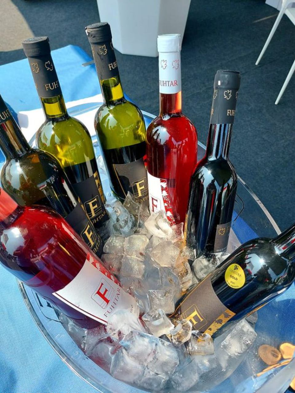 Wine tasting in Istria